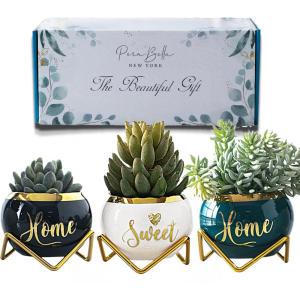 imageDaughter Gifts from Mom Birthday Gift for Daughter Mother Daughter Gifts Happy Birthday Daughter Best Daughter Ever Gift Daughter In Law Gifts Birthday Gifts for Daughter Adult 3 Succulent PotsHome Sweet Home