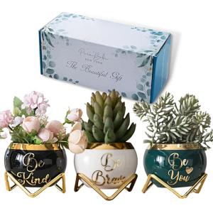 imagePeraBella Inspirational Gifts for Women Spiritual Elephant Gift Idea for Female Friends Valentines Day or Wife  3 Succulent PotsBe Kind Be Brave Be You