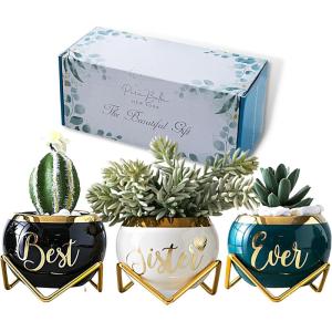 imageSister Birthday Gifts for Women from Sisters Mothers Day Gifts for Sisters from Sisters Adult Cool Gifts for Adult Sister Gift for Women Friend Little Sister Gifts Succulent Pot Gifts for LadiesBest Sister Ever