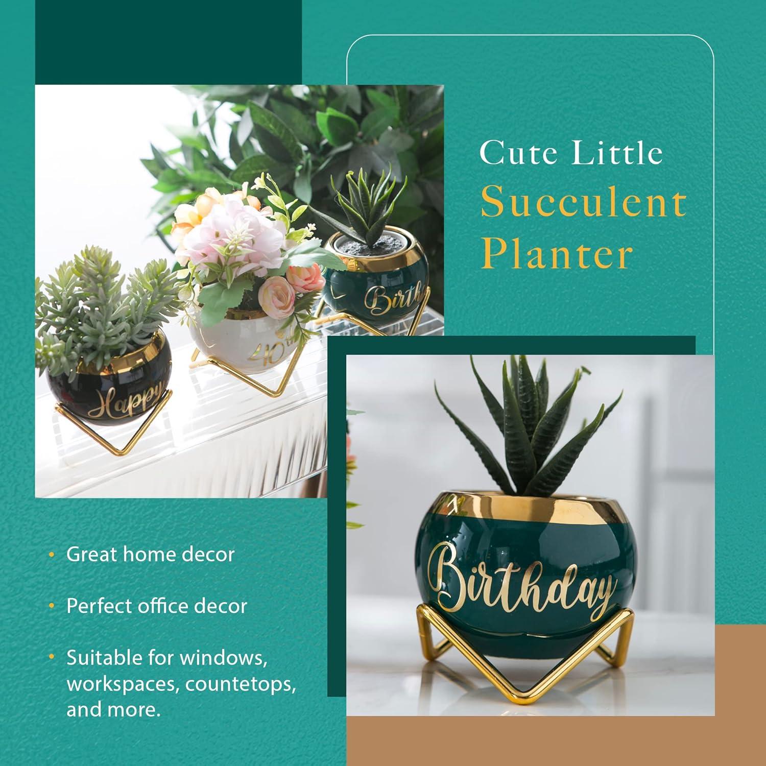 imagePeraBella 40th Birthday Succulent Planter Gift Set Minimalist Style Ceramic Pots with Happy 40th Birthday Print Versatile Decor for Indoor or Outdoor Use