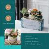 imagePeraBella 40th Birthday Succulent Planter Gift Set Minimalist Style Ceramic Pots with Happy 40th Birthday Print Versatile Decor for Indoor or Outdoor Use