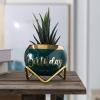 imagePeraBella 50th Birthday Planter  Ceramic Succulent Pots for Mom Grandma or Auntie  Home Decor Gift
