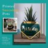 imagePeraBella 50th Birthday Planter  Ceramic Succulent Pots for Mom Grandma or Auntie  Home Decor Gift