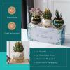 imagePeraBella 50th Birthday Planter  Ceramic Succulent Pots for Mom Grandma or Auntie  Home Decor Gift