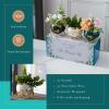 imagePeraBella Best Godmother Ever Succulent Planter Gift Set 3 Ceramic Pots with Metallic Finish Ideal for Indoor Decor Suitable for Windowsills Desks Shelves Gardens Kitchens Offices
