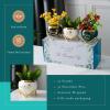 imagePeraBella Inspirational Gifts for Women Elephant Gifts for CoworkersMotivational Gifts for Female Friends Thoughtful Gift for New Mom 3 Planter Pots