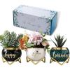 imagePeraBella 40th Birthday Succulent Planter Gift Set Minimalist Style Ceramic Pots with Happy 40th Birthday Print Versatile Decor for Indoor or Outdoor Use