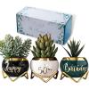 imagePeraBella 50th Birthday Planter  Ceramic Succulent Pots for Mom Grandma or Auntie  Home Decor Gift