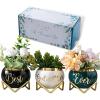 imagePeraBella Best Godmother Ever Succulent Planter Gift Set 3 Ceramic Pots with Metallic Finish Ideal for Indoor Decor Suitable for Windowsills Desks Shelves Gardens Kitchens Offices