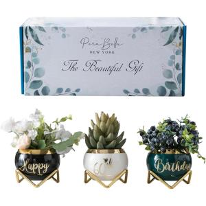 imagePeraBella 60th Birthday Gift for Women Ceramic Planter Gift for Mom for Grandma from Granddaughter Niece Gifts from Auntie Happy 60th Birthday Gifts for Mom 3 Succulent Pots Home Dcor