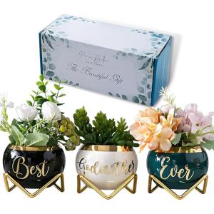 imagePeraBella Best Godmother Ever Succulent Planter Gift Set 3 Ceramic Pots with Metallic Finish Ideal for Indoor Decor Suitable for Windowsills Desks Shelves Gardens Kitchens Offices