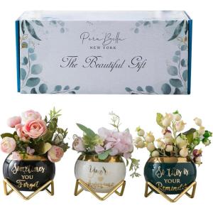 imagePeraBella Sometimes You Forget Youre Awesome Birthday ampamp Thank You Gift for Women Coworkers Friends ampamp Teachers  3 Succulent Pots